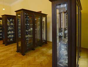 Muzeum Anatomii Collegium Medicum